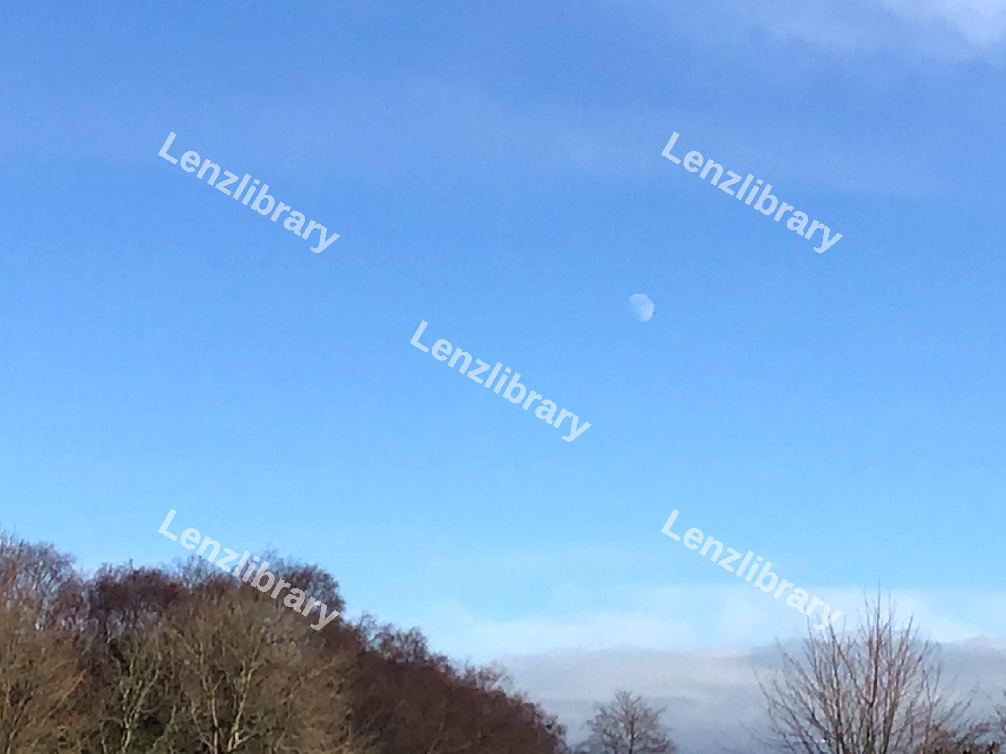 Moon During Daytime